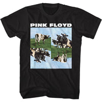 Thumbnail for PINK FLOYD-COWS-BLACK ADULT S/S TSHIRT