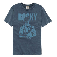 Thumbnail for ROCKY-ROCKY BLUE ISH-DENIM ADULT S/S COMFORT COLOR TSHIRT
