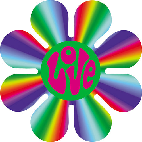 Love Daisy 3"x3" Sticker - 6 pc prepack