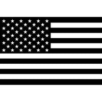 Thumbnail for Black  White American Flag 4.5