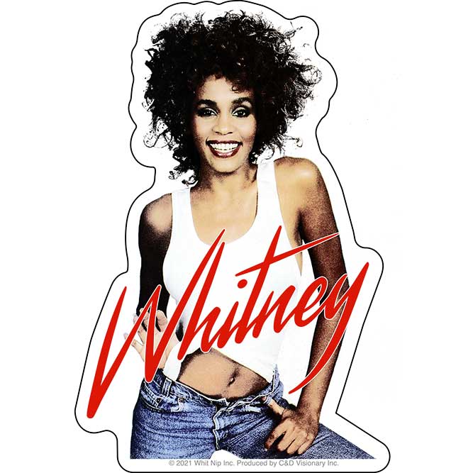 Whitney Houston Denim Pose 3.75"x5.5" Sticker - 6 pc prepack