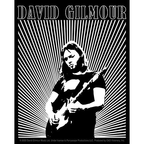 David Gilmour Lines Logo 4"x5" Sticker - 6 pc prepack