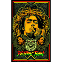 Thumbnail for Peter Tosh Blazing 3.5