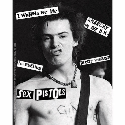 Sex Pistols Sid Vicious 4"x5" Sticker - 6 pc prepack