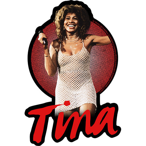 Tina Turner Live Performance 4"x6" Sticker - 6 pc prepack
