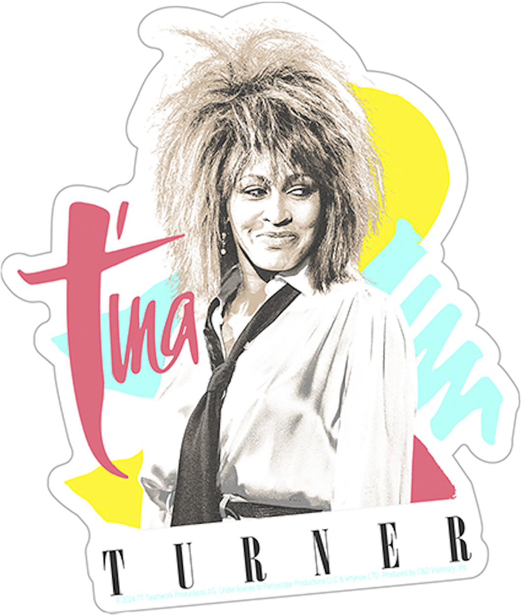 Tina Turner Tie 4.25"x5" Sticker - 6 pc prepack