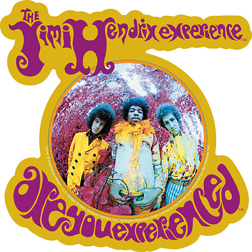 Jimi Hendrix Experienced Bubble 5.5"x5.5" Sticker - 6 pc prepack