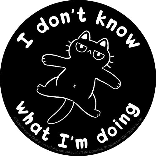 Tobe Fonseca Idk What I'm Doing 4" Sticker - 6 pc prepack