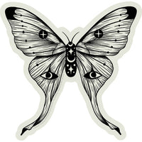 Thumbnail for Episodic Drawing Mystical Moon Moth 5.4