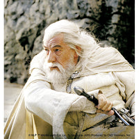 Thumbnail for The Lord of the Rings Gandalf 4