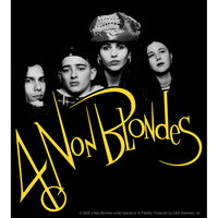 Thumbnail for 4 Non Blondes Band Photo 4.5