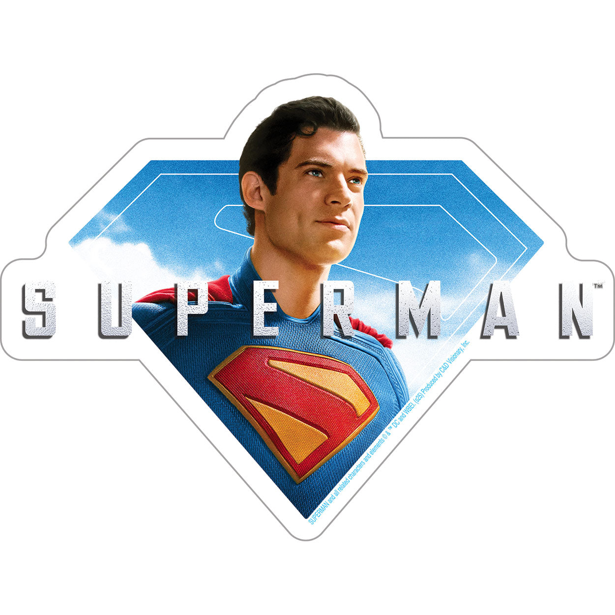 Superman Man of Steel 4.1"x5.4" Sticker - 6 pc prepack