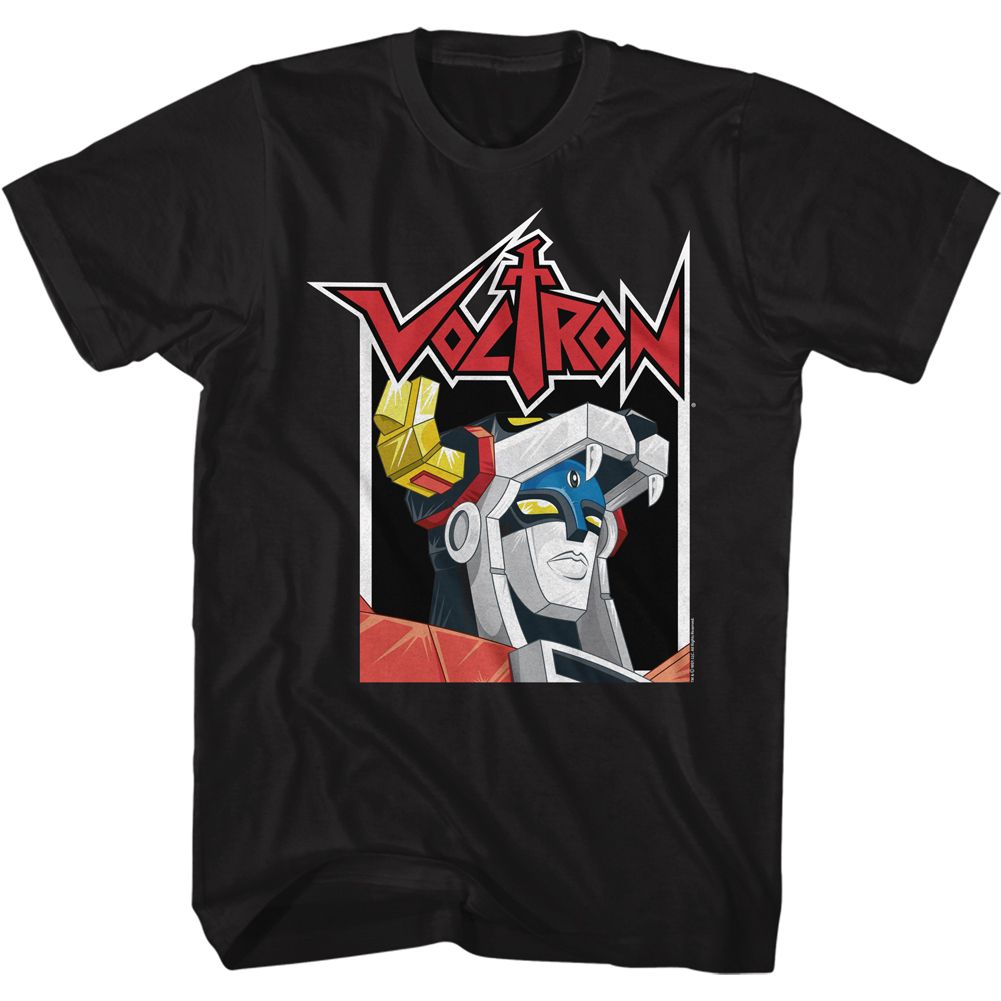 VOLTRON IN A BOX