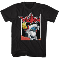 Thumbnail for VOLTRON IN A BOX