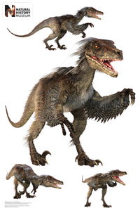 Thumbnail for Velociraptor Group Wall Decal