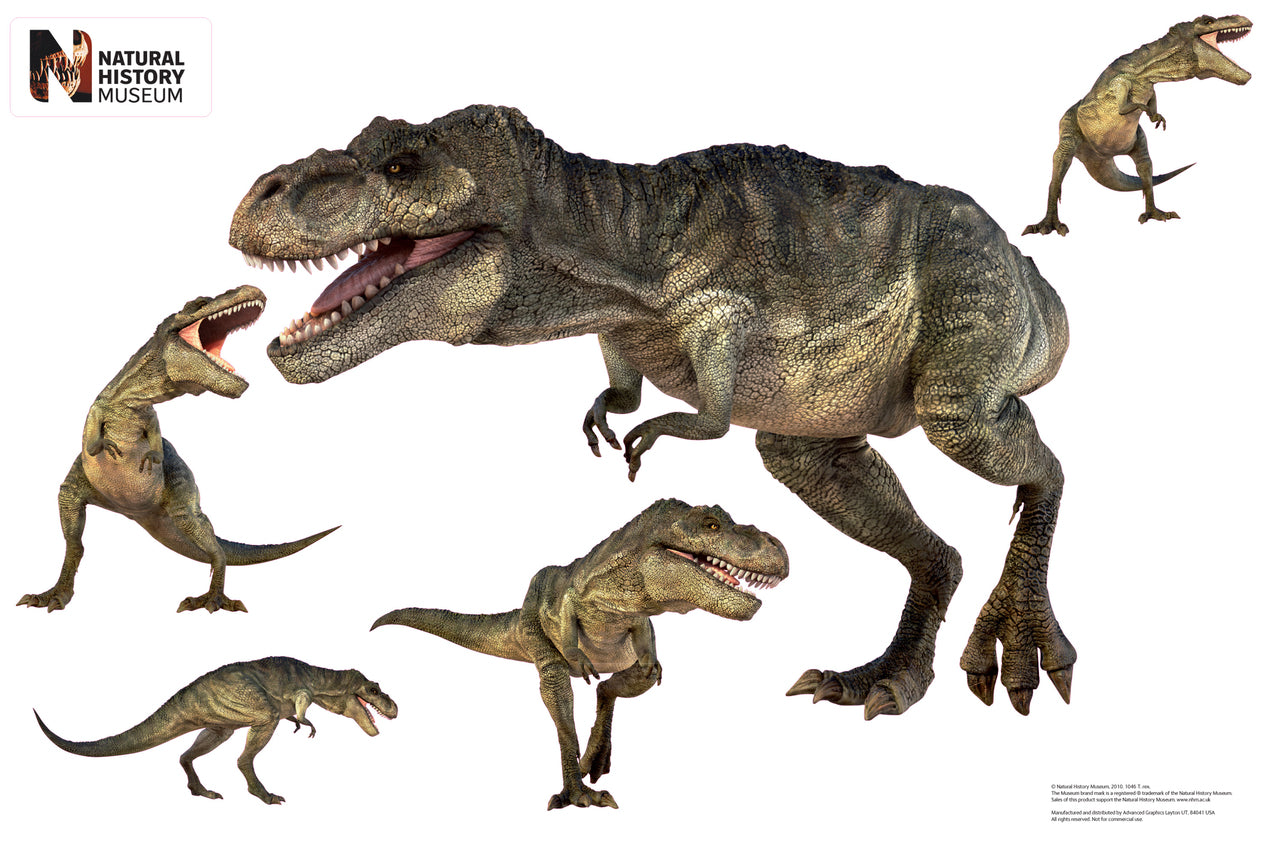 T. Rex Group Wall Decal