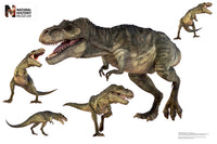 Thumbnail for T. Rex Group Wall Decal