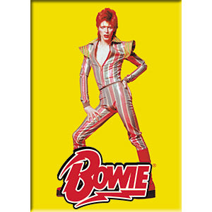 David Bowie Pose 2.5"x3.5" Magnet - 3 pc prepack