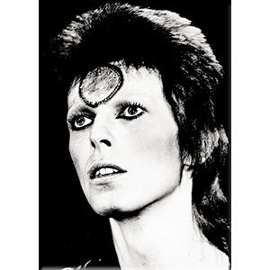 David Bowie Black  White 2.5"x3.5" Magnet - 3 pc prepack