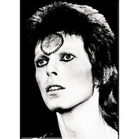 Thumbnail for David Bowie Black  White 2.5
