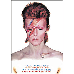 David Bowie Aladdin Sane 2.5"x3.5" Magnet - 3 pc prepack