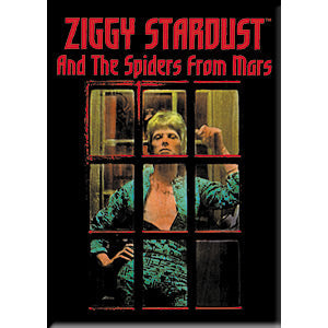 David Bowie Ziggy Window 2.5"x3.5" Magnet - 3 pc prepack