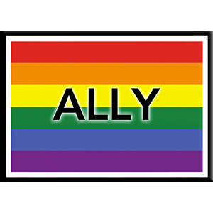 LGBTQ+ Ally Flag Black  White Outline 2.5"x3.5" Magnet - 3 pc prepack