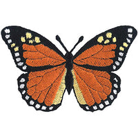 Thumbnail for Large Monarch Butterfly 3.1
