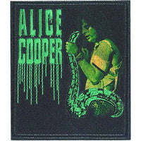 Thumbnail for Alice Cooper With Snake 3
