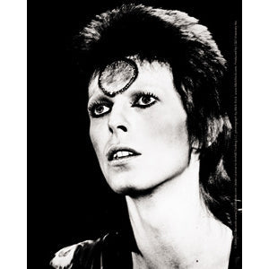 David Bowie Black  White 4"x5" Sticker - 6 pc prepack