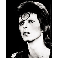 Thumbnail for David Bowie Black  White 4