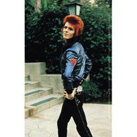 Thumbnail for David Bowie Poise 3.5