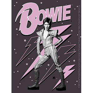 David Bowie Pink Bolts 3.75"x5" Sticker - 6 pc prepack