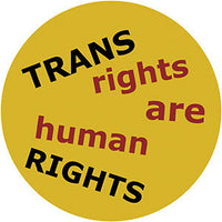 Thumbnail for LGBTQ+ Trans Rights 4
